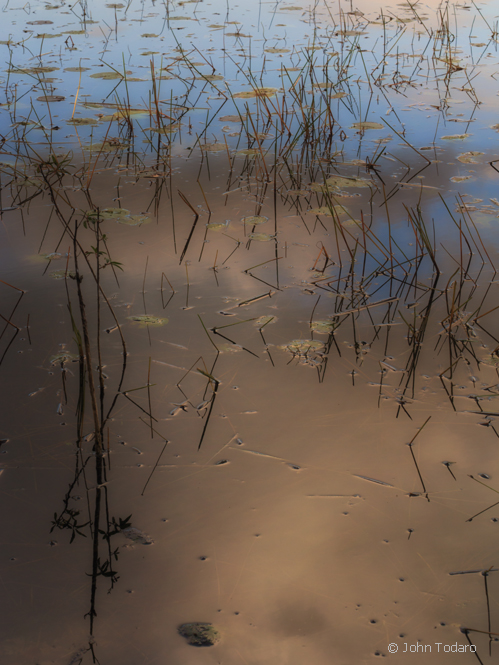 long pond