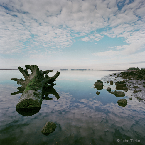 landscape in shallow water