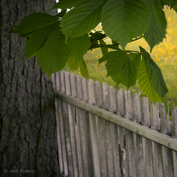 cemetery fence