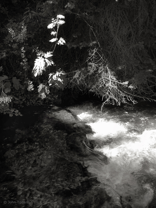 creek in high contrast