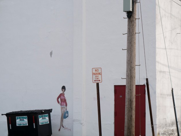 Red Back Door