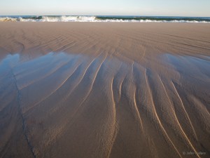 sagaponack - ocean detail 1