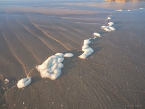 sagaponack - ocean detail 2
