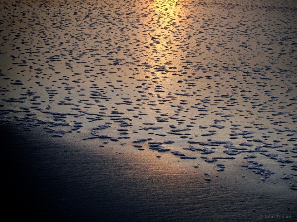 sagaponack - ocean study 4