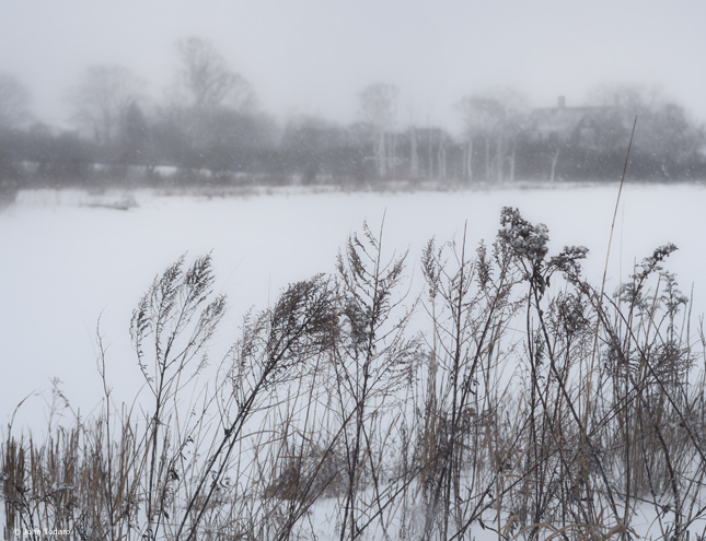 Hook Pond Snowscape