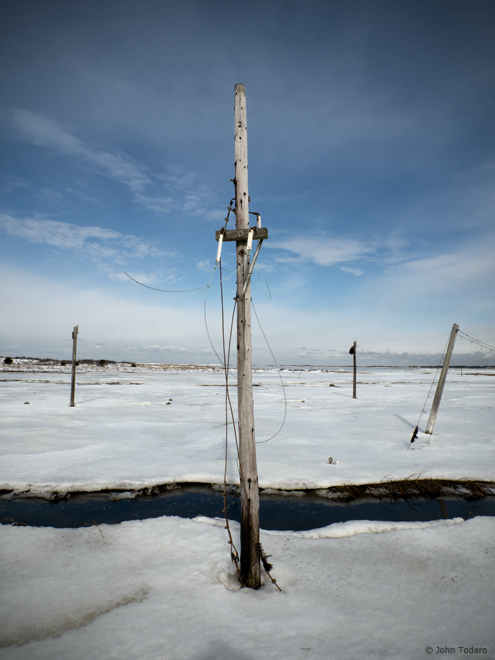 Salt Marsh Poles