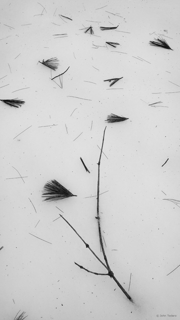 Snow Needles