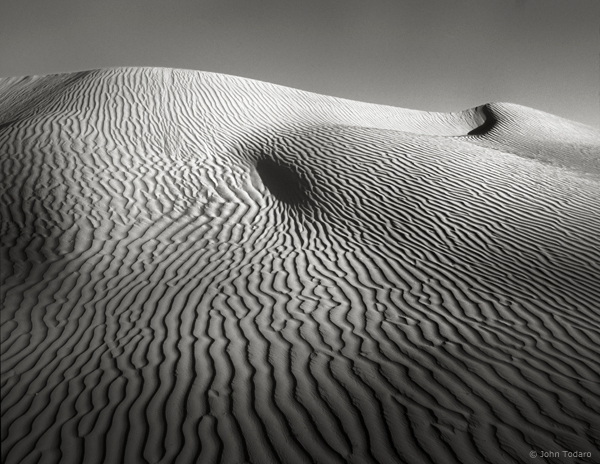 Dune Forms