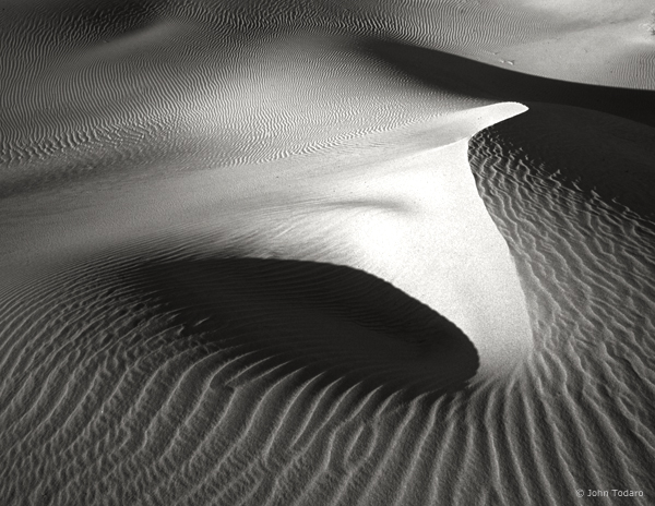 Dune Forms II
