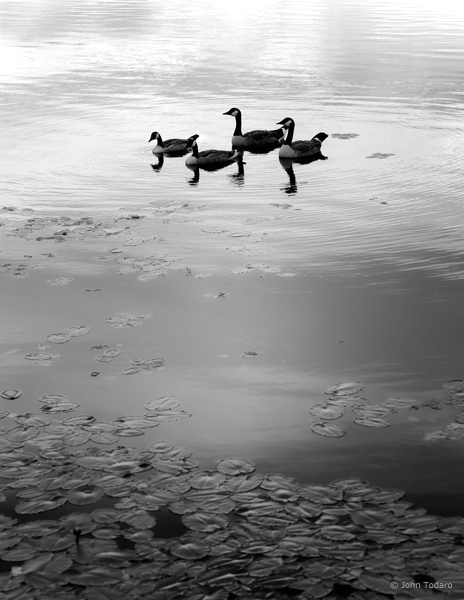 two and two together