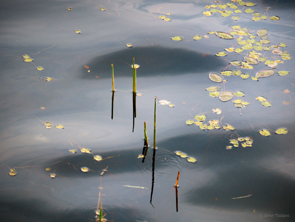 Floaters