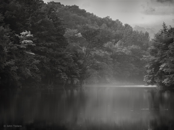 Morning at the Lake