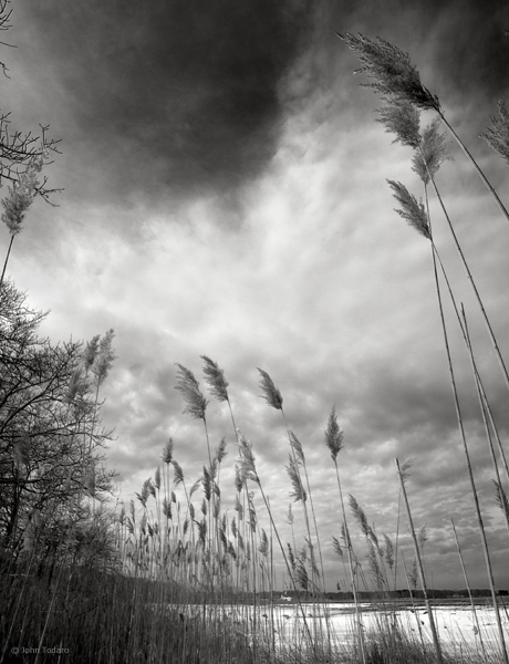 January Sky, Scallop Pond