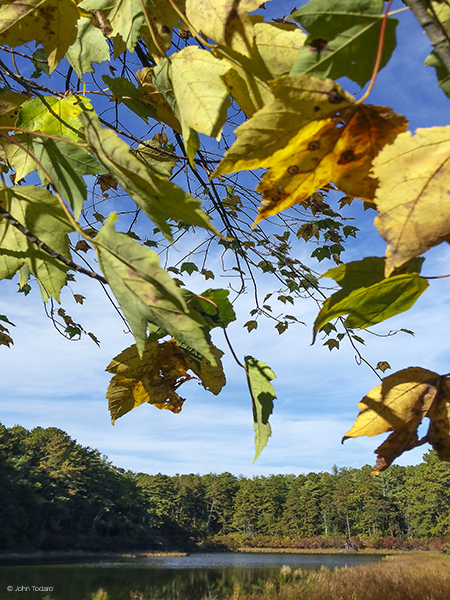 chatfields-hole-east-hampton