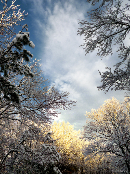 Clearing After Snow