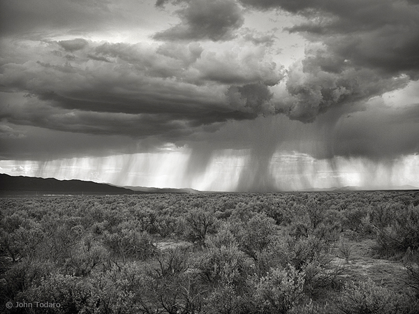 Rain in Shades of Gray