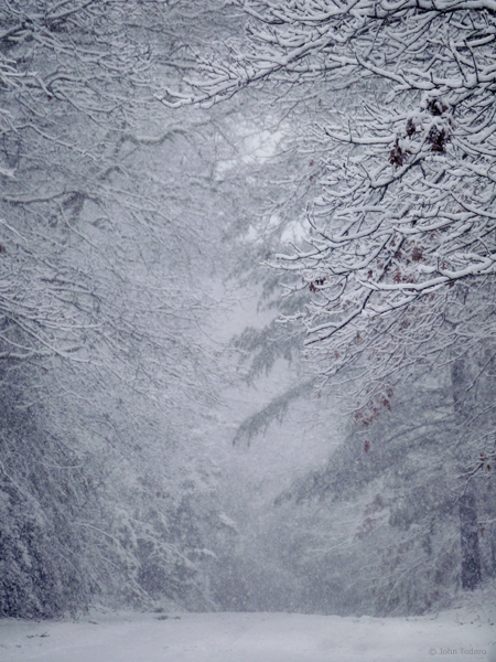 Snowy Back Road