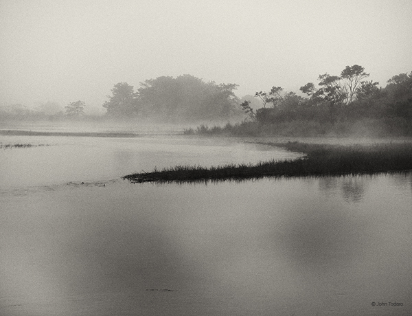 Marsh Monochrome