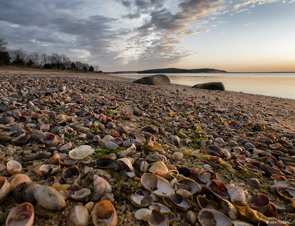 Northwest Harbor, April