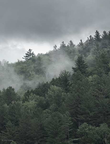 View From Rutland Marsh
