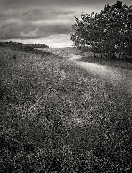 beach-at-northwest-harbor