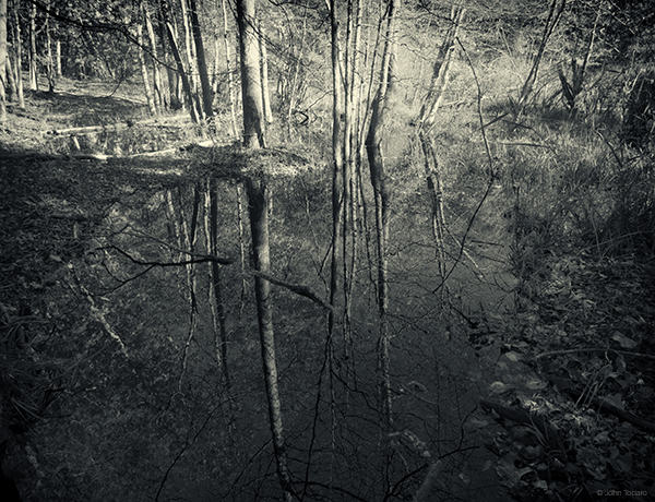 mulvihill-monochrome