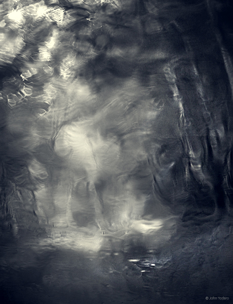 woods-from-a-rainy-windshield