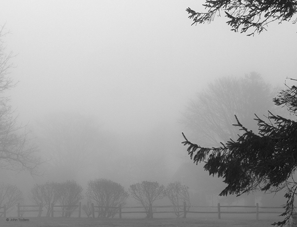 early-march-james-lane